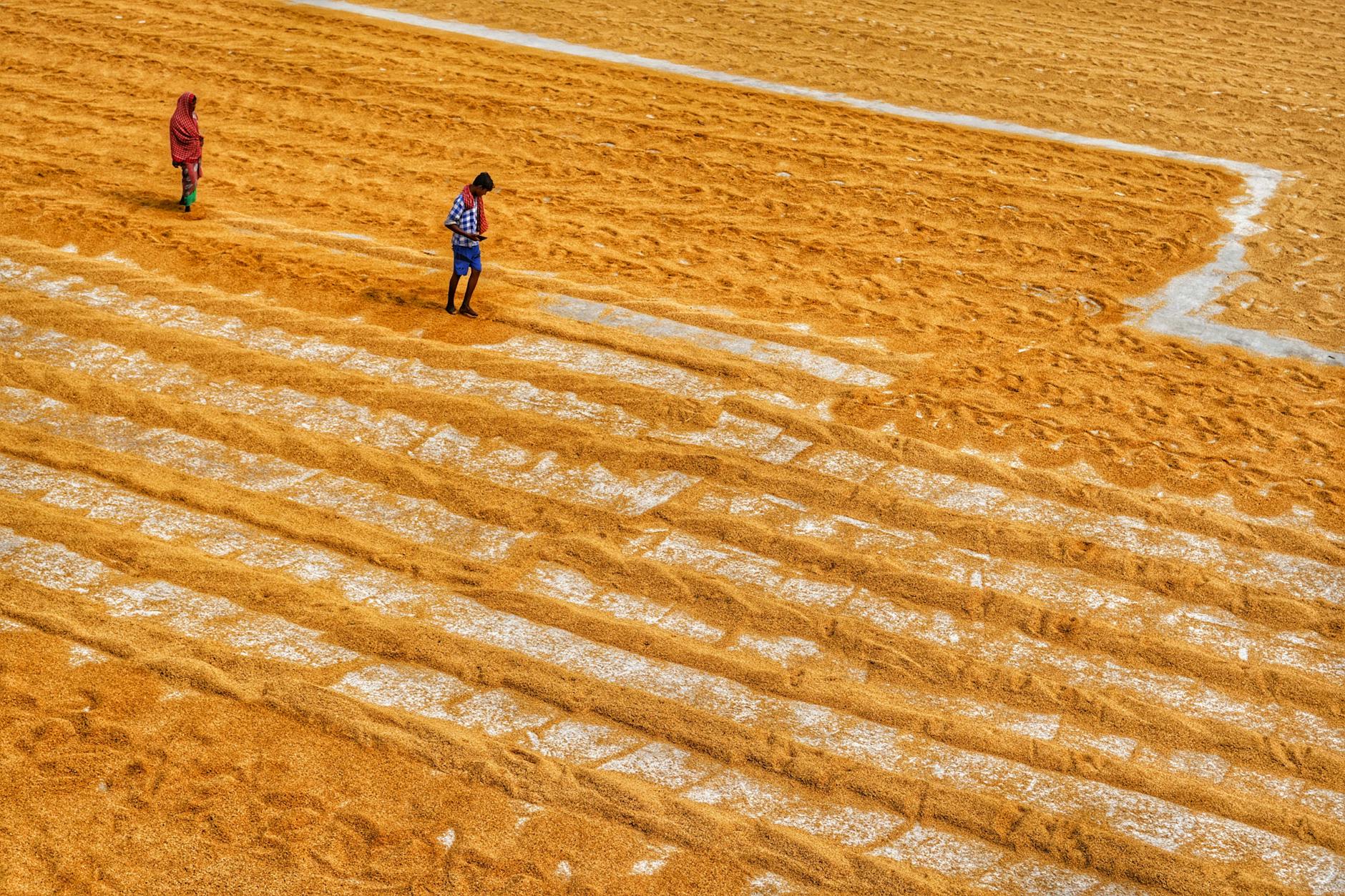 The Critical Difference Between SSDI and SSI for Survivors