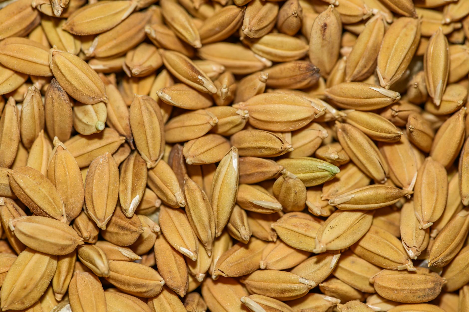 What Are the Basic Requirements for Social Security Disability Eligibility?