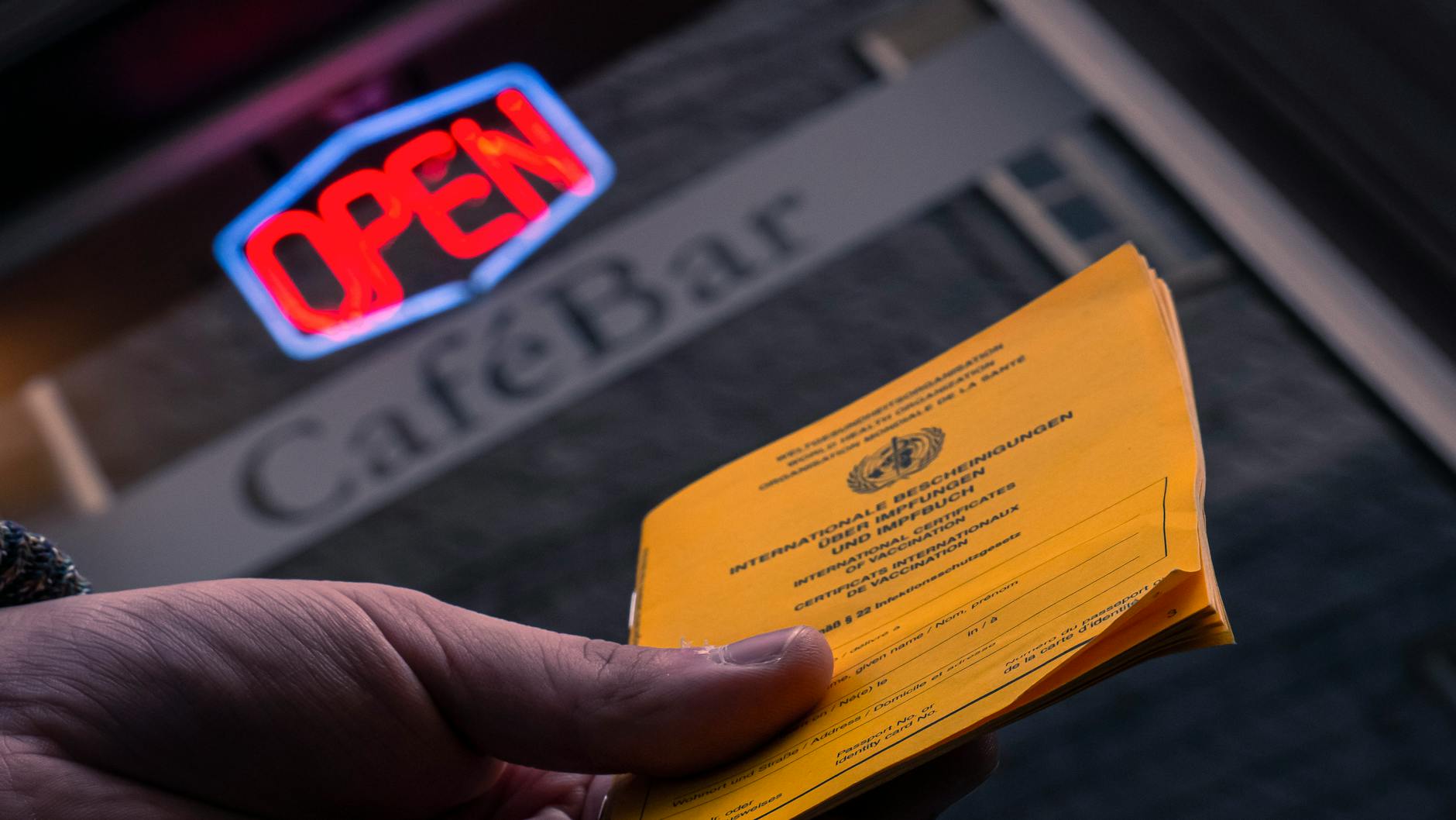 Who Investigates Social Security Fraud and What Authority Do They Have?