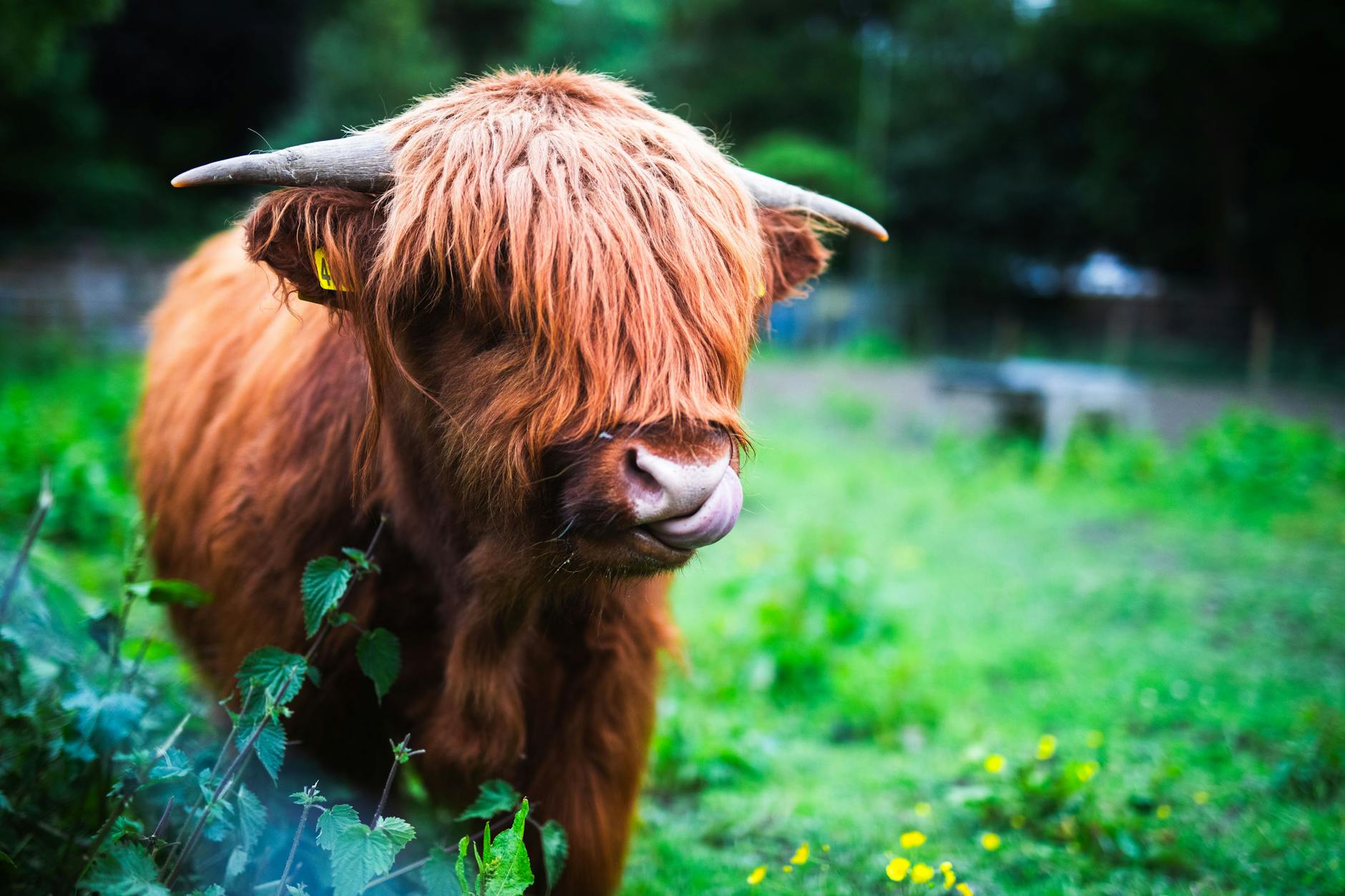 What Determines How Much You Will Get at 60?