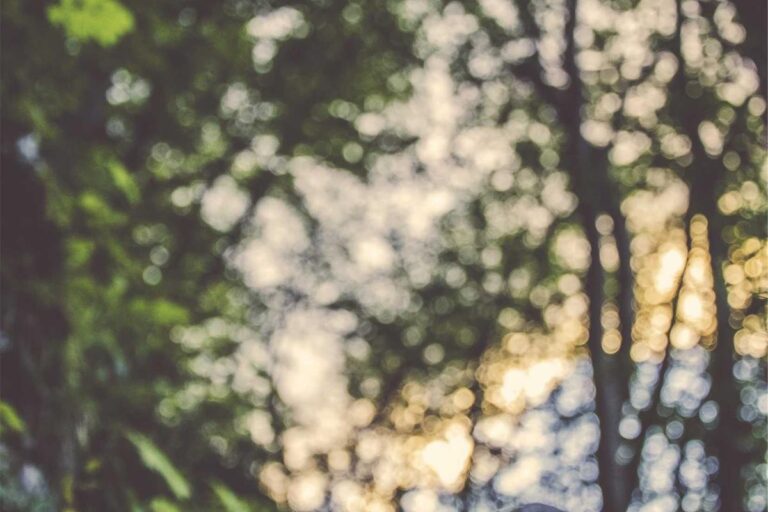 Age 62 vs 67 vs 70: Which Is Most Common? - Featured image