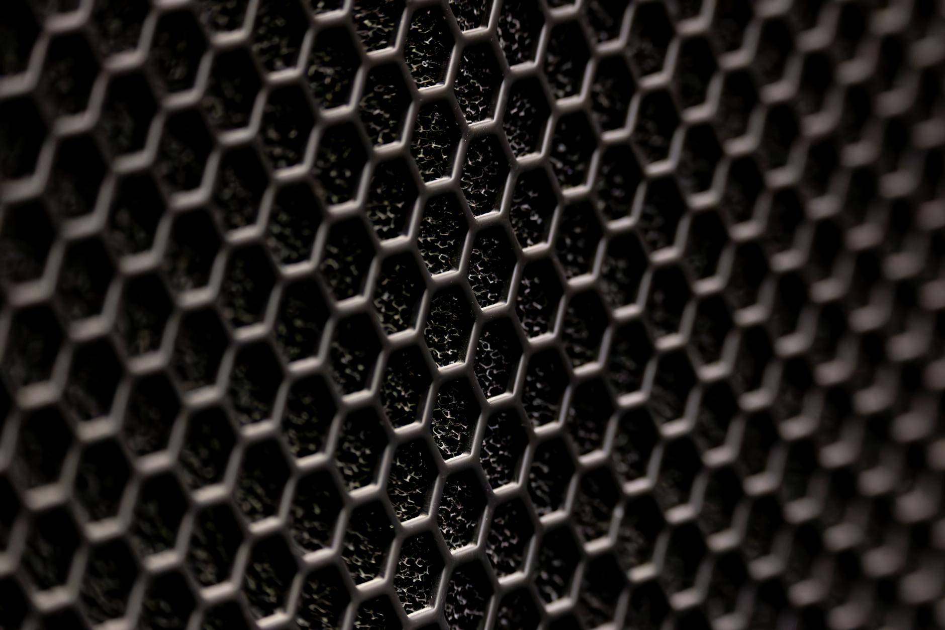 How Does Employment Structure Your Daily Routine and Social Connections?