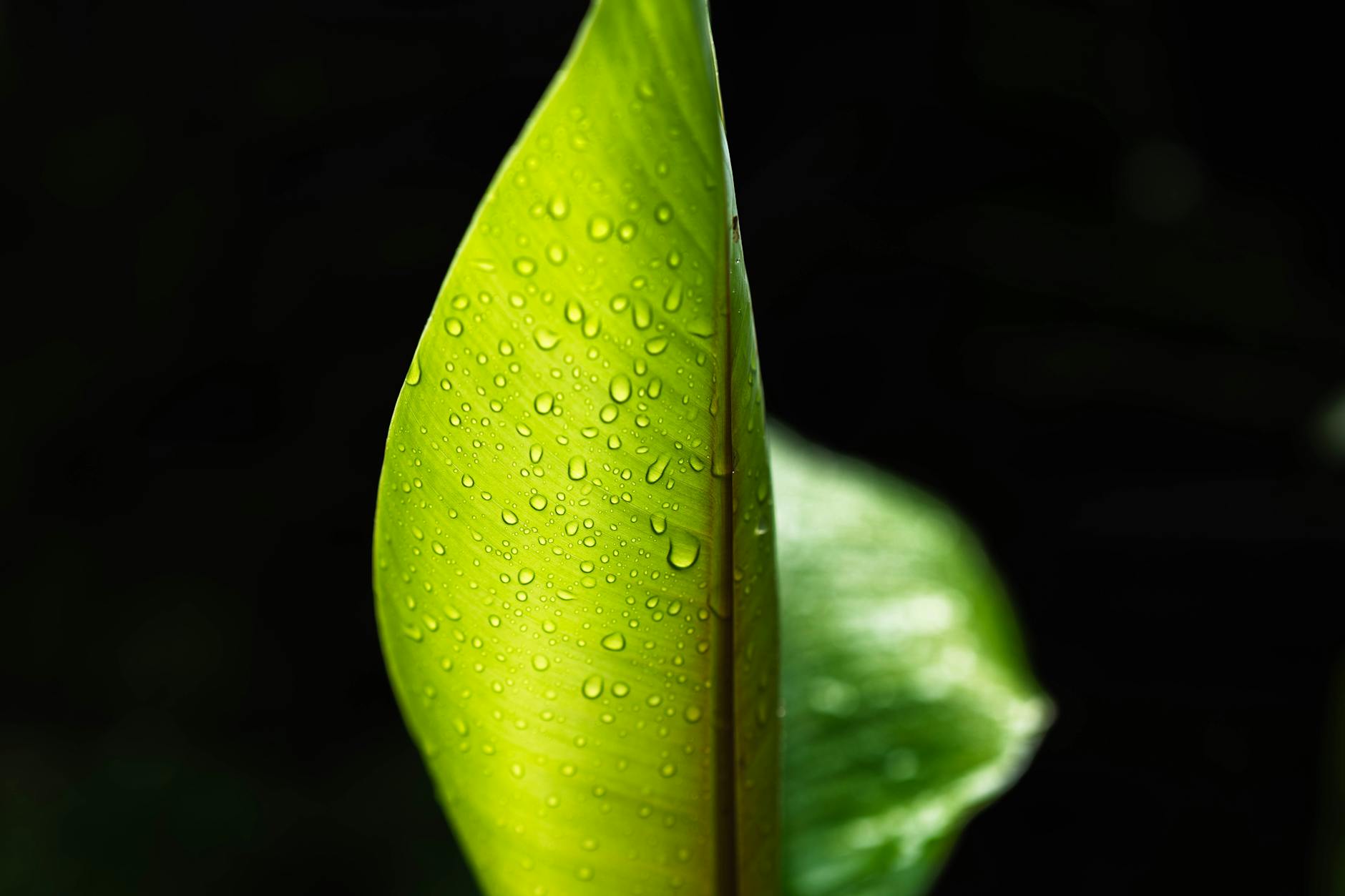 How Pension Benefits Grow With Additional Service Years