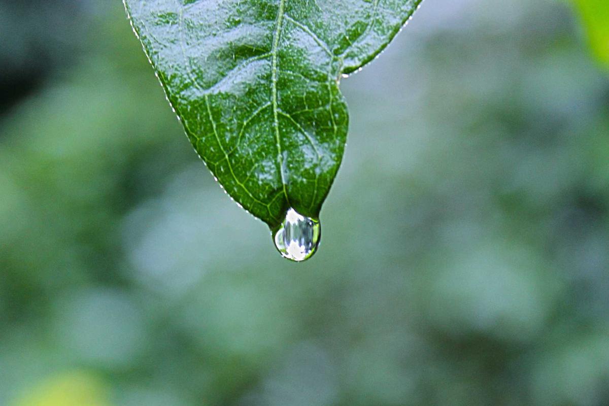 HOW THE EARNINGS TEST AFFECTS EARLY CLAIMANTS WHO CONTINUE WORKING