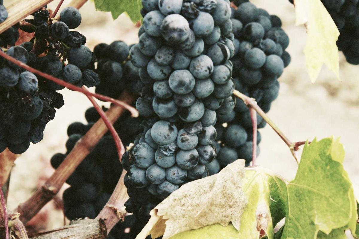 The 2026 Social Security Full Retirement Age Change and What It Means