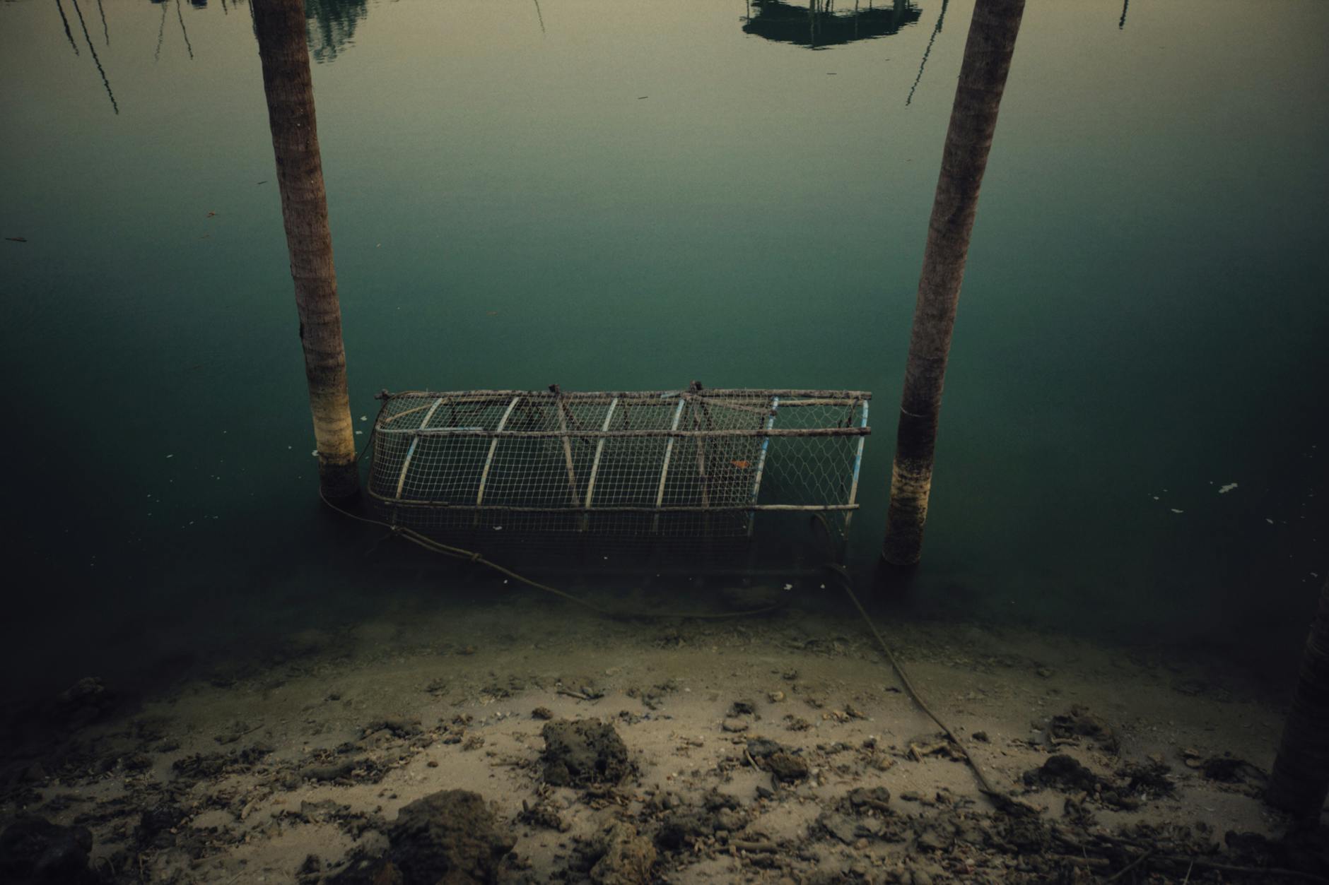 The Overconfidence Trap That Catches Even Professional Investors