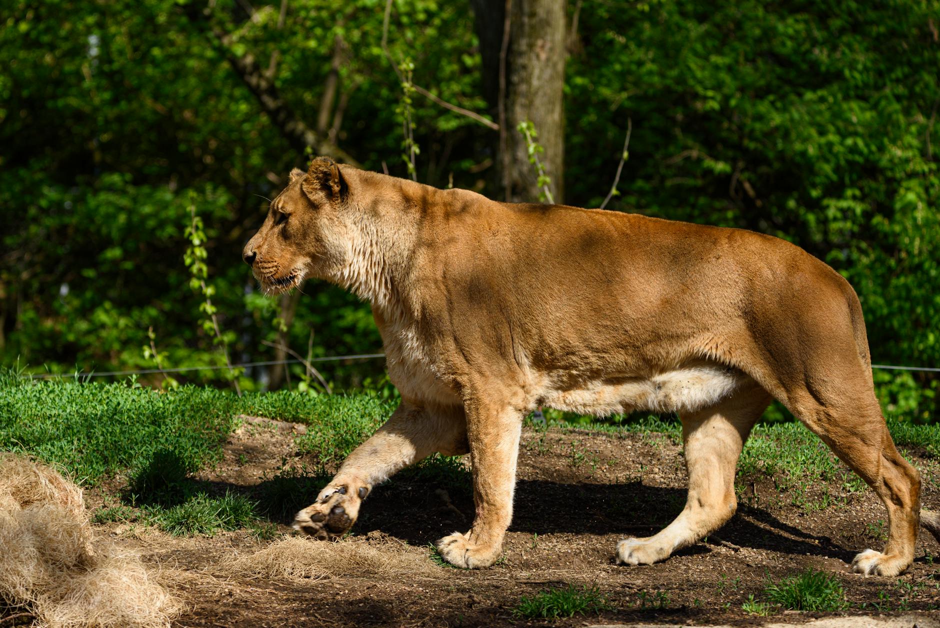 What Are the Biggest Advantages of Starting Social Security at 62?