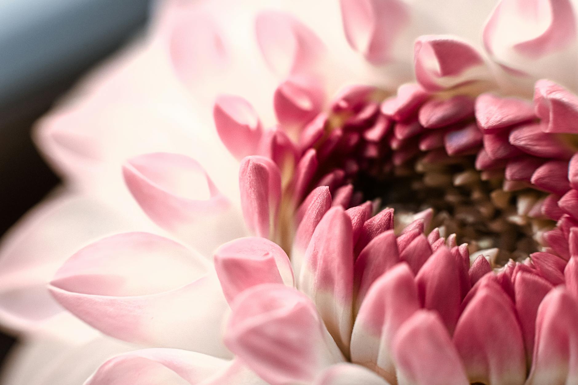 What Is the Average Social Security Payment at Age 66?