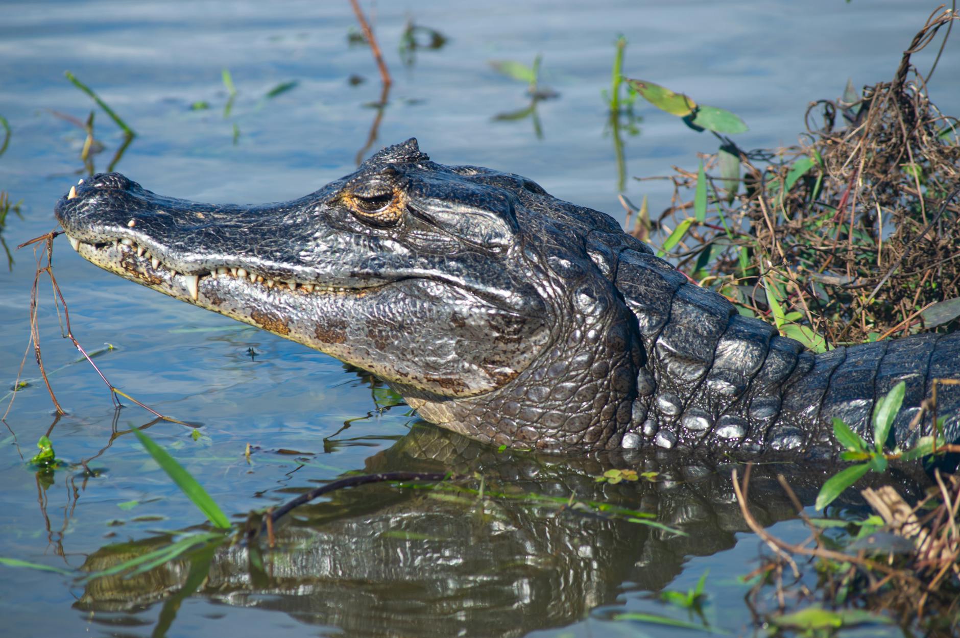 Which Latin American Countries Offer the Lowest Living Costs for Retirees?