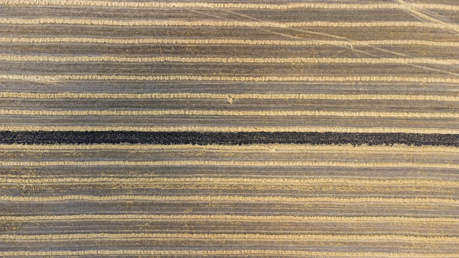 Why Do Regular Contributions Strengthen a Portfolio Over Time?