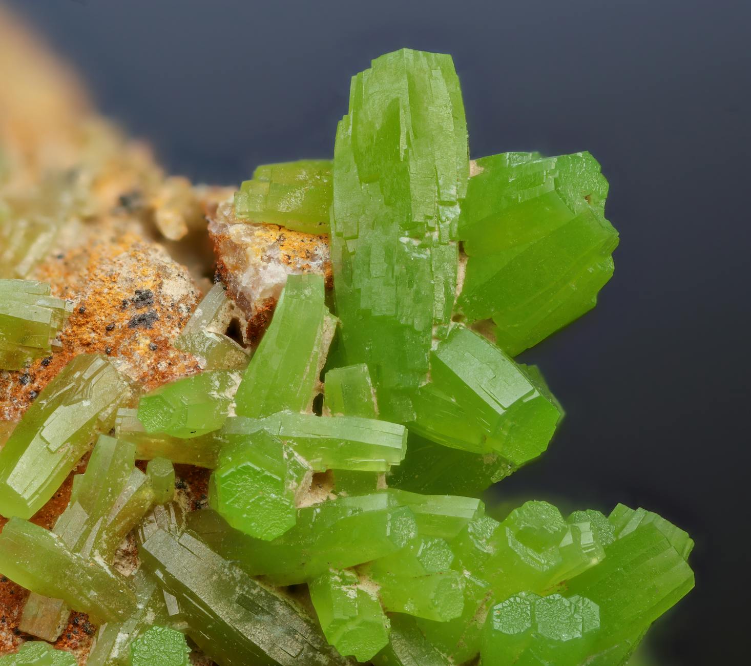 Why Does Patience Lead to Better Investment Results Over Time?