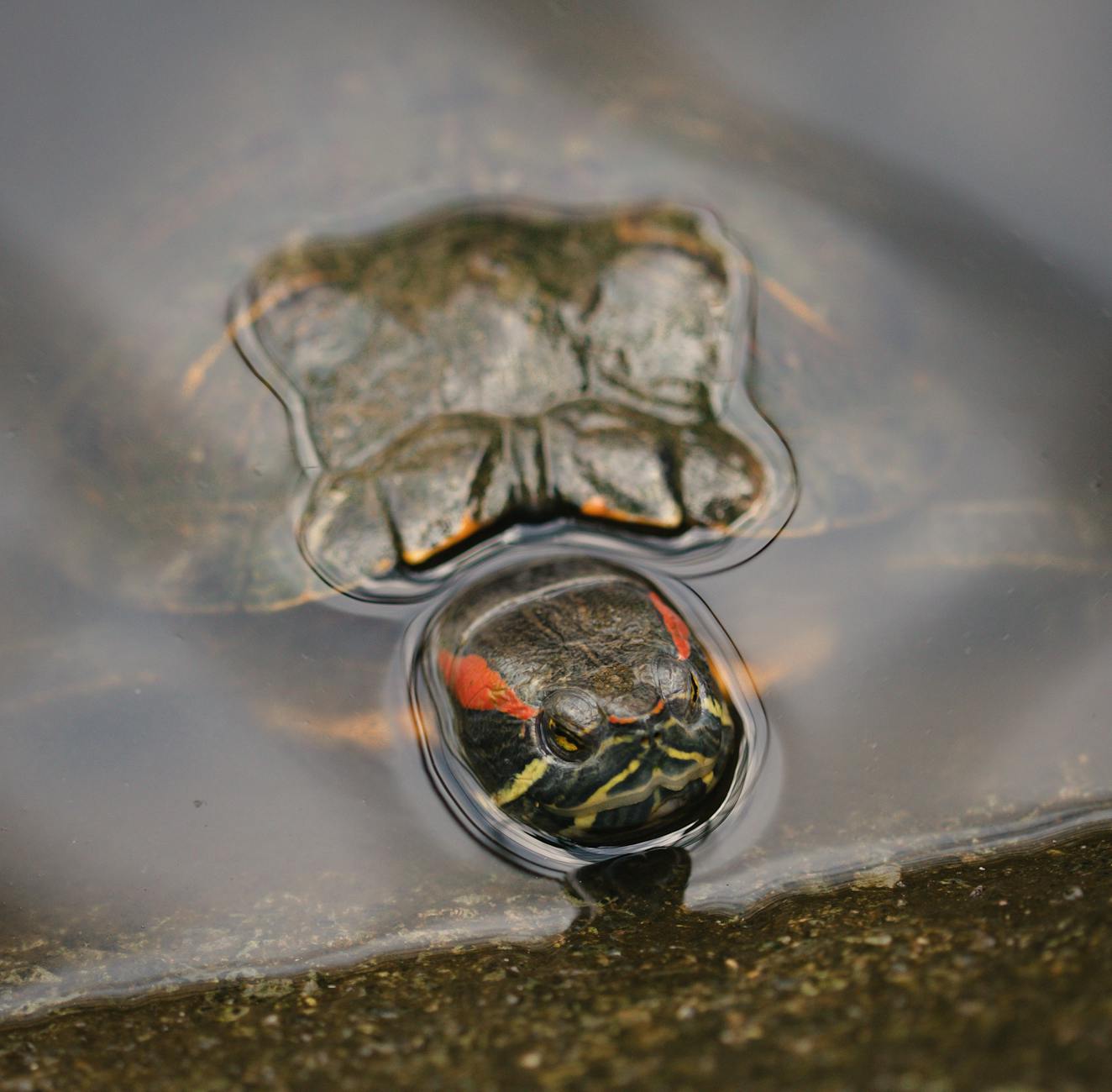 Why Does Semi-Retirement After 55 Offer the Best of Both Worlds?