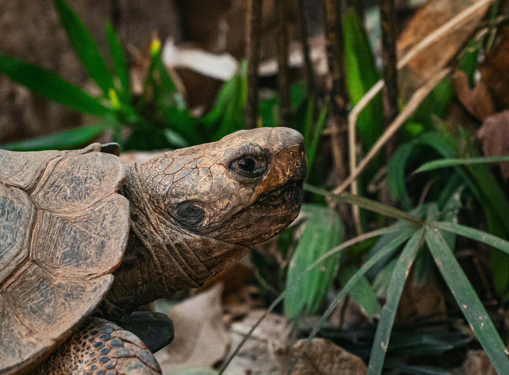 Why Does Unlimited Free Time Create Anxiety Instead of Relief?
