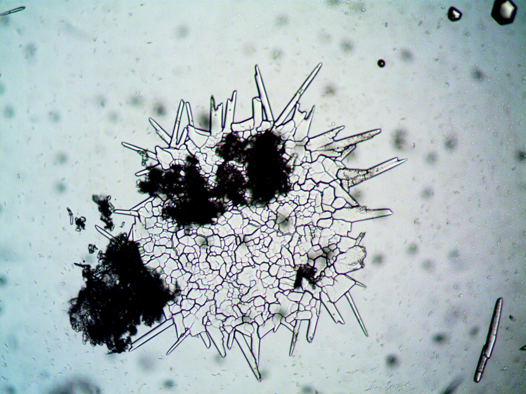 Why Does Work Structure Time That Retirees Must Learn to Fill Themselves?