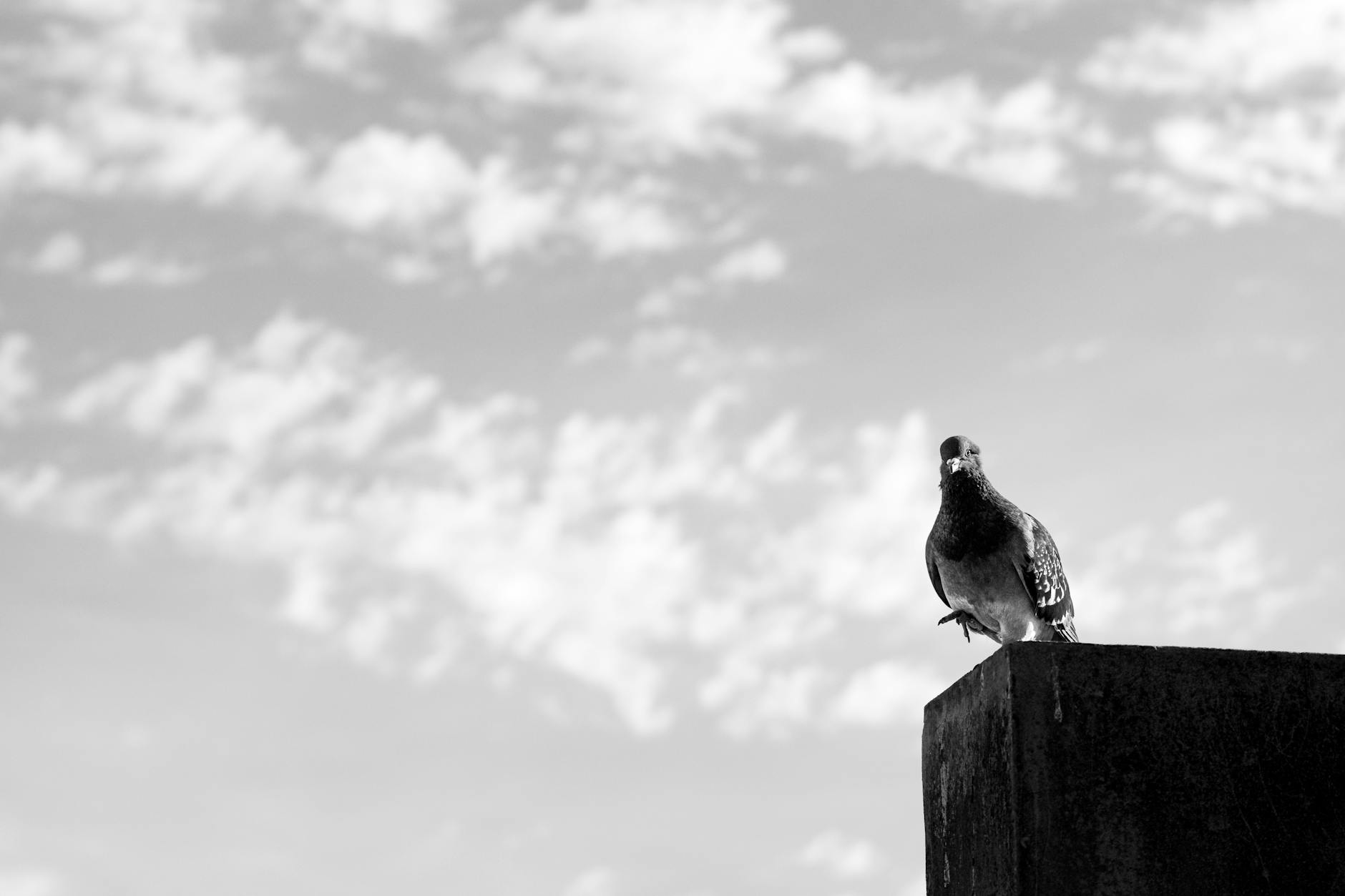 Why Retirement Often Brings Unexpected Disorientation