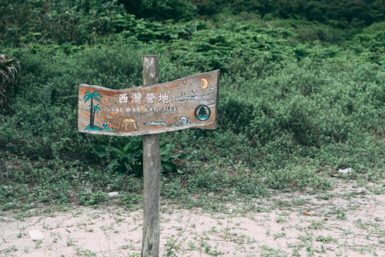 Why Some People Say They Would Be Lost Without a Job - Featured image