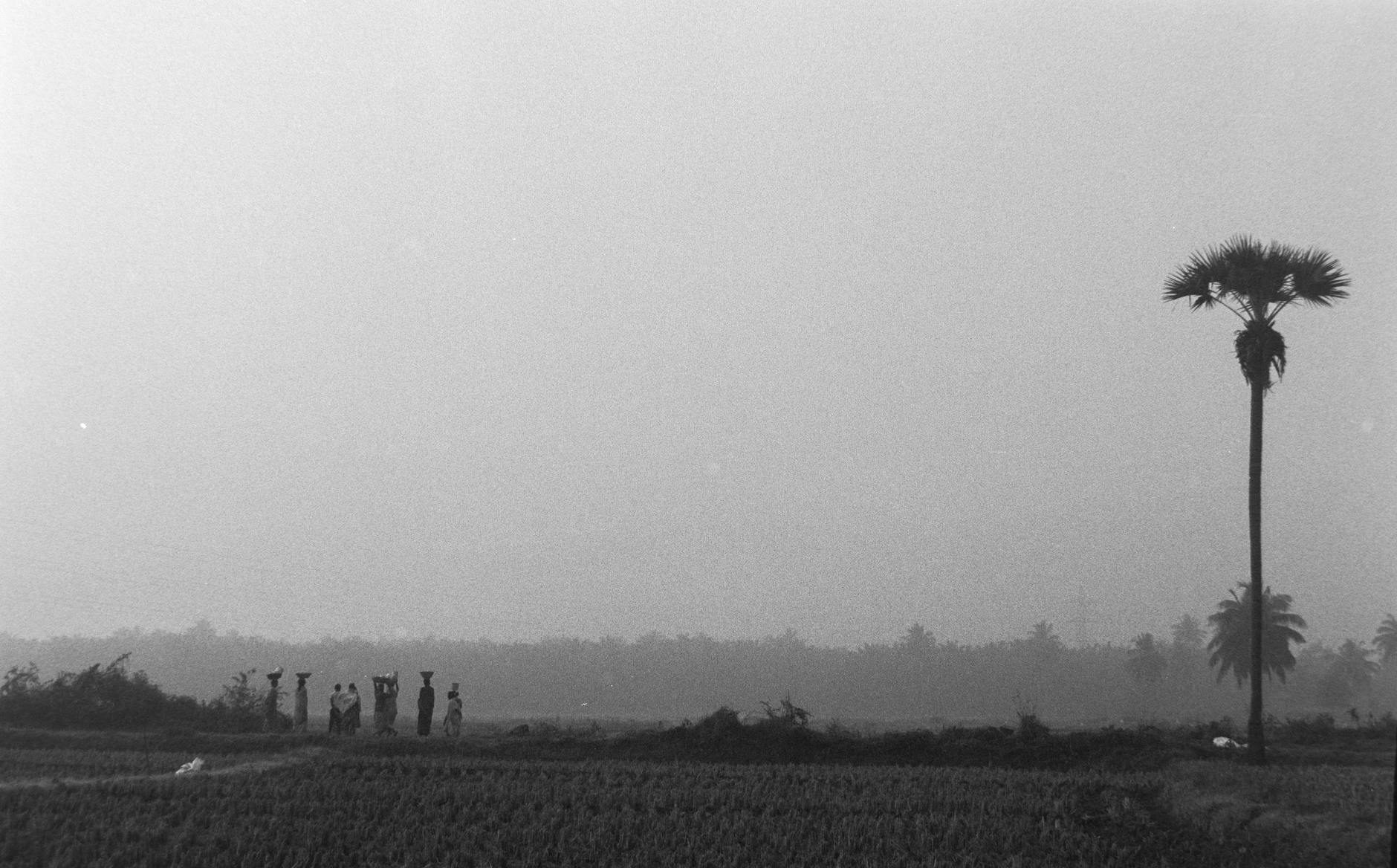 Working While Collecting Social Security at 66 — The Earnings Test