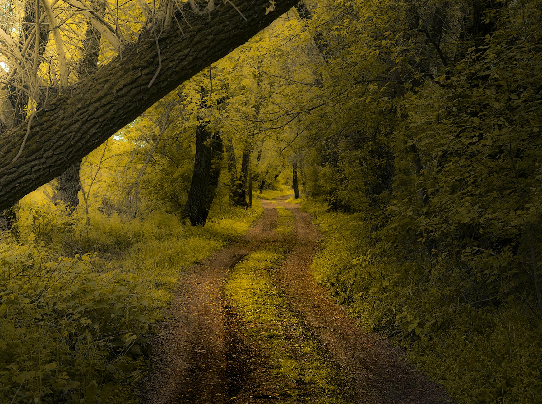 Different Paths to $1 Million Based on Your Timeline