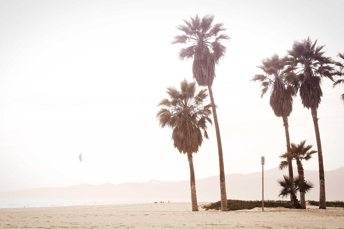 Failure to Report Changes and Overpayment Cycles