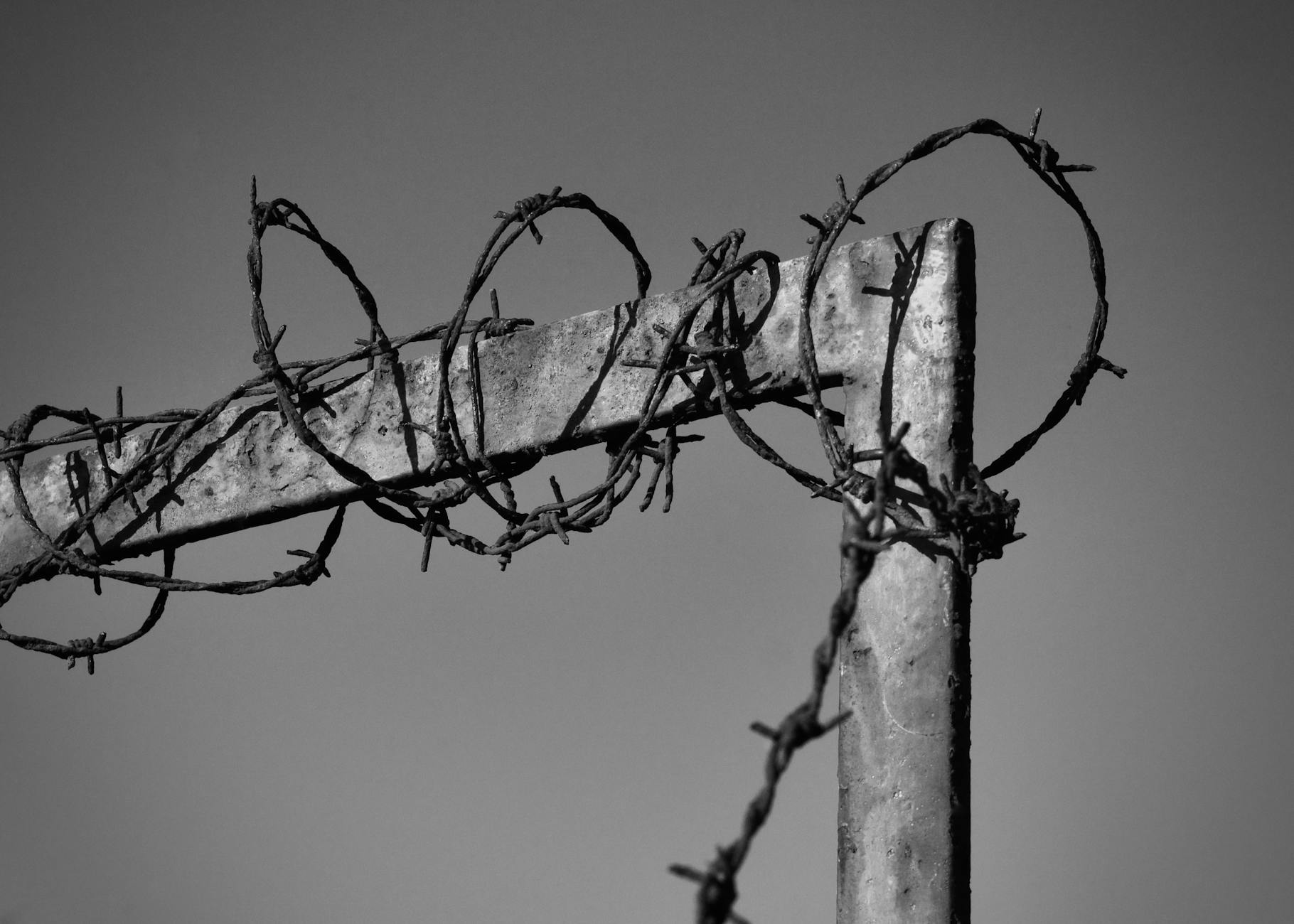 What Contributions and Limits Should You Know About?