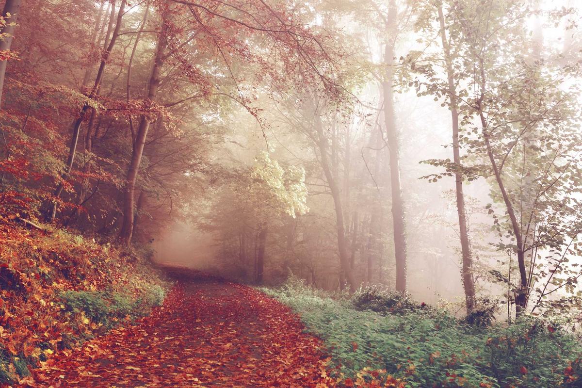 Why Missing Enrollment Deadlines and Late Registration Penalties Are So Costly