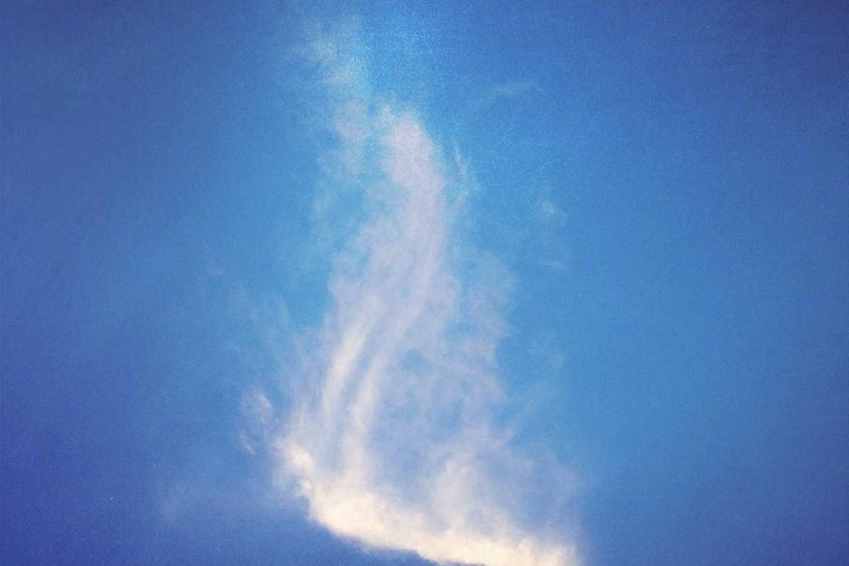 Why Social Security's Official Story Leaves Out the Fine Print