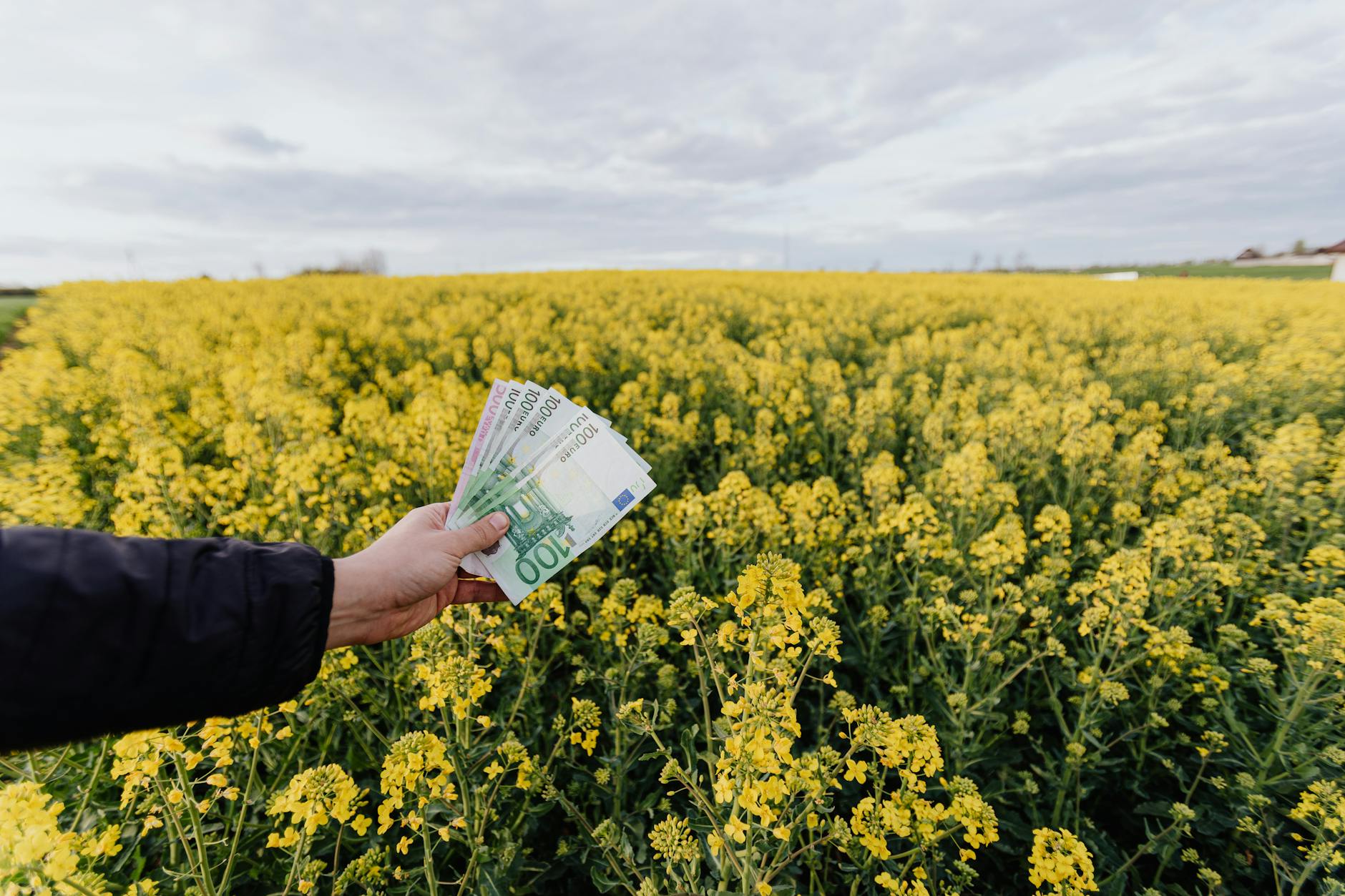 How Will This Affect Different Income Levels and Retirement Scenarios?