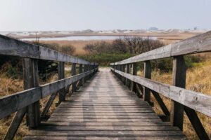 New Study Found That 401k Fees as Low as 1% Can Reduce Final Balances by Up to $100,000 - Featured image