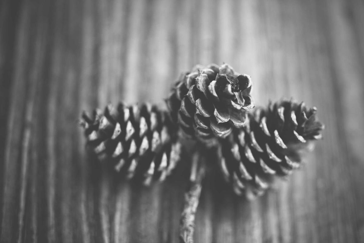 The Longevity Question and Individual Circumstances