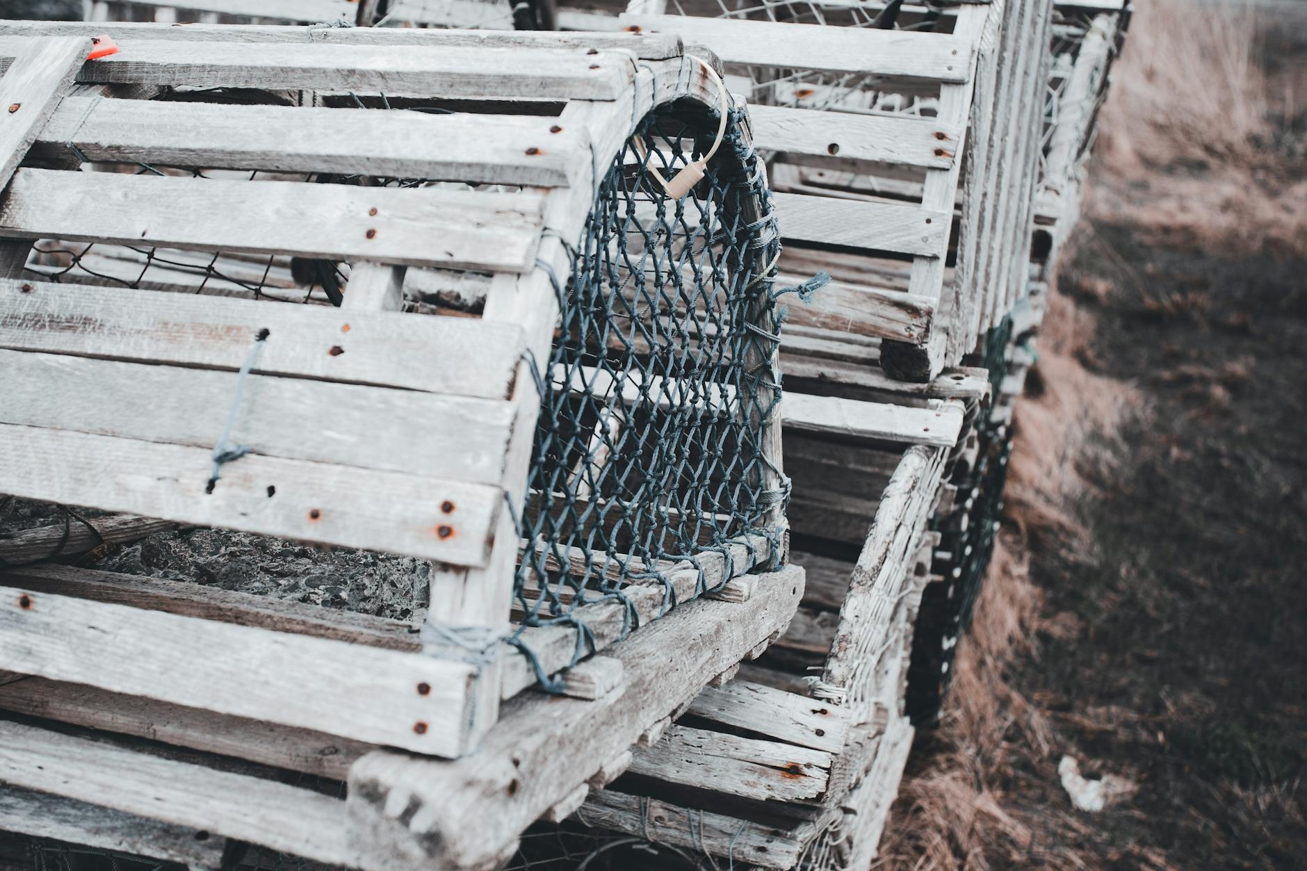 The Trap of Social Security Dependency and Why It's Not a Fallback Plan