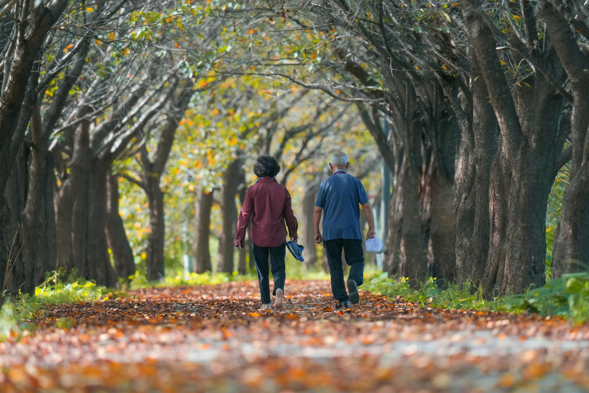 What Are the Key Risks and Limitations of Offering Alternative Investments in Retirement Plans?