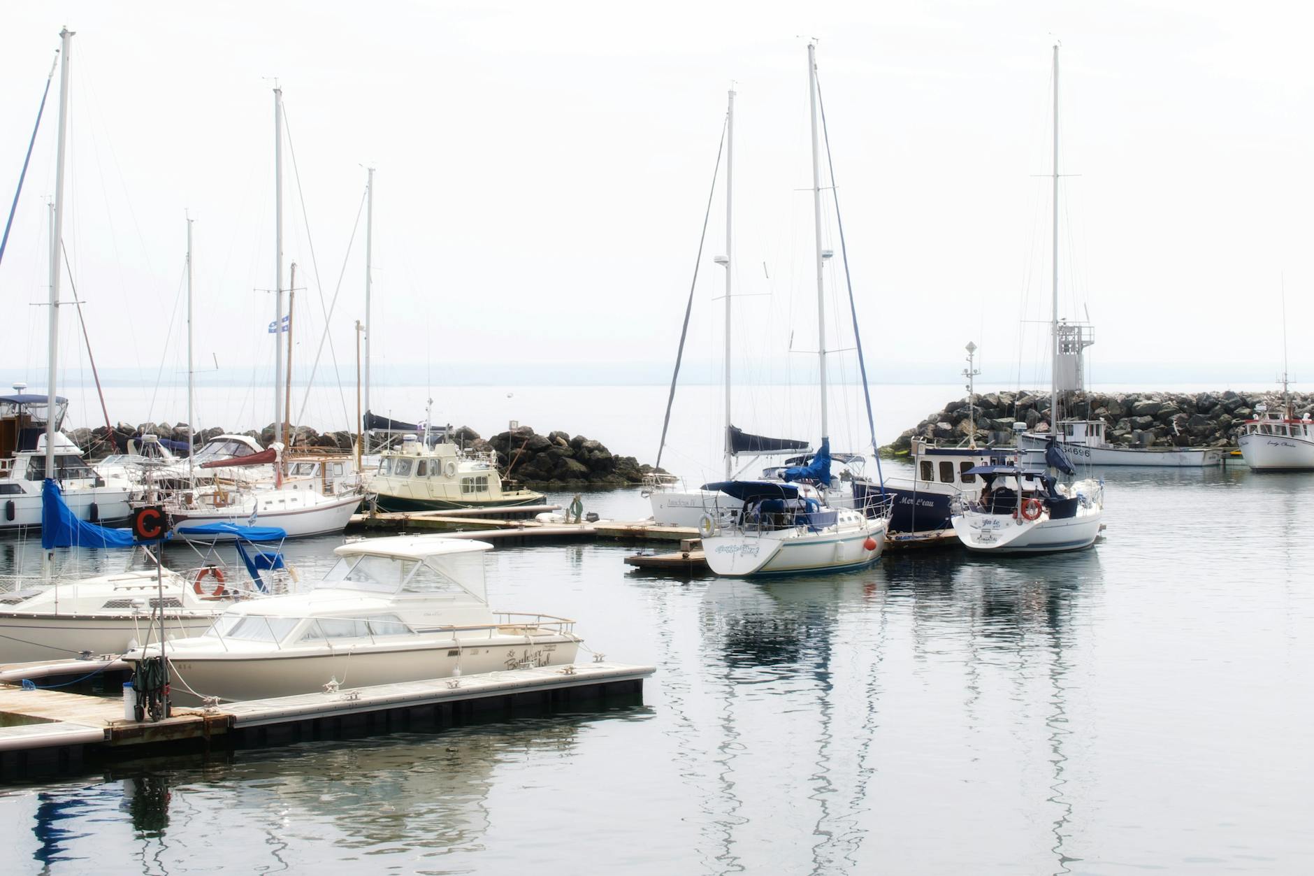 What Investments Does This Safe Harbor Actually Cover?