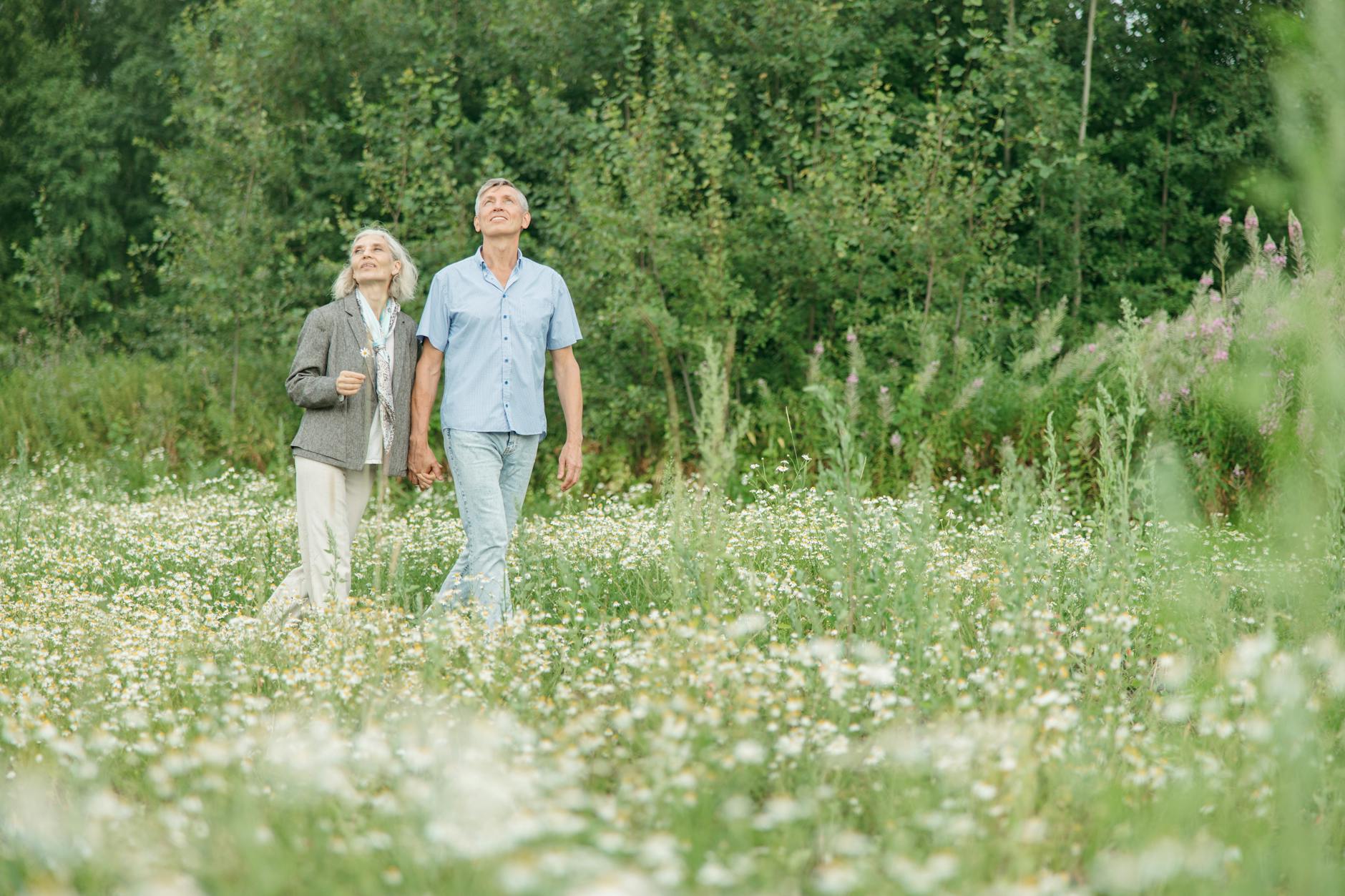 Why Are More Retirees Returning to Work?