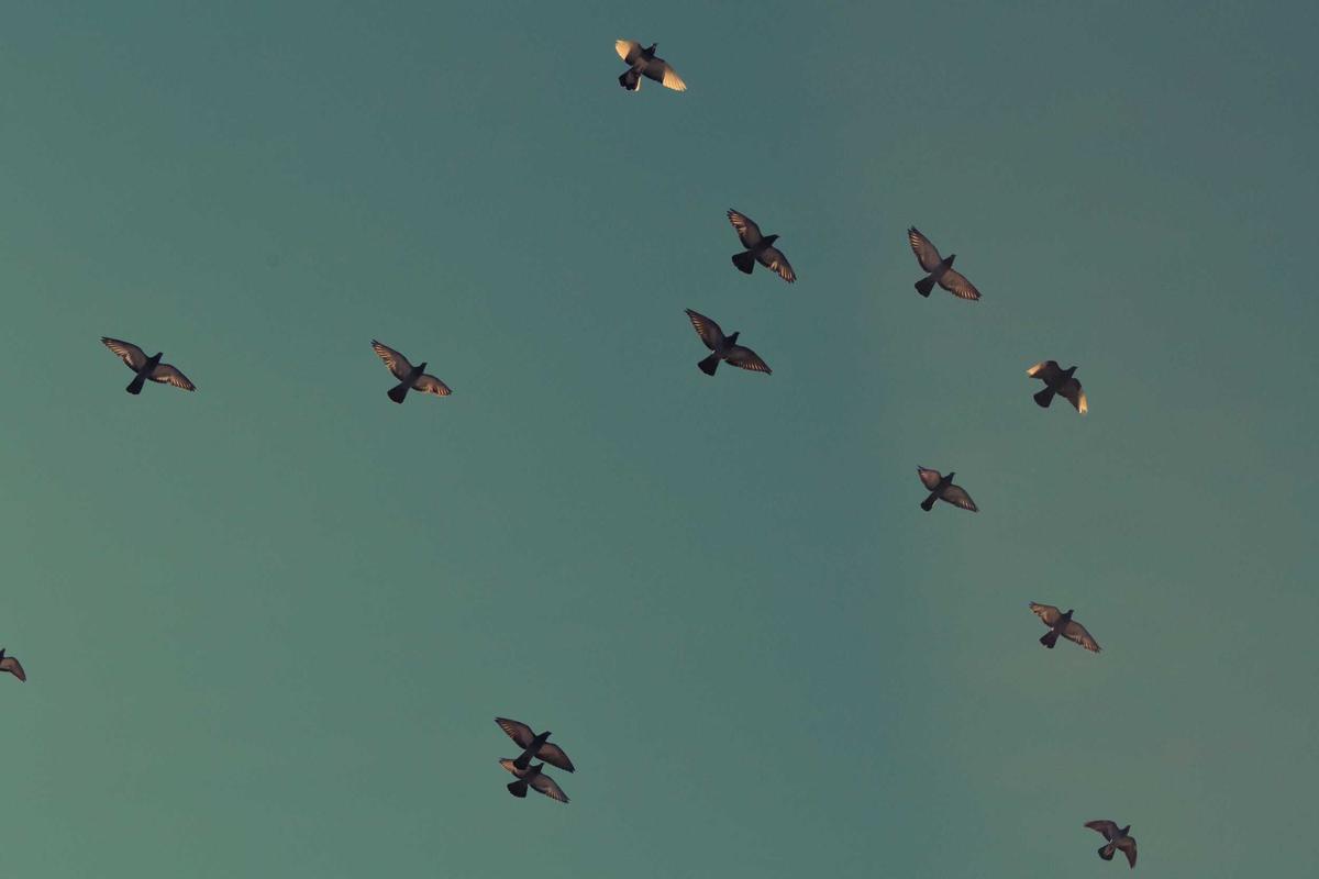 Why Catch-Up Contributions Don't Solve the Problem
