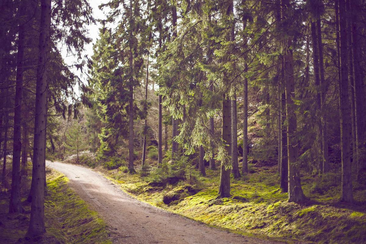 Why Retirement Investors Demand Safer Returns Over Growth