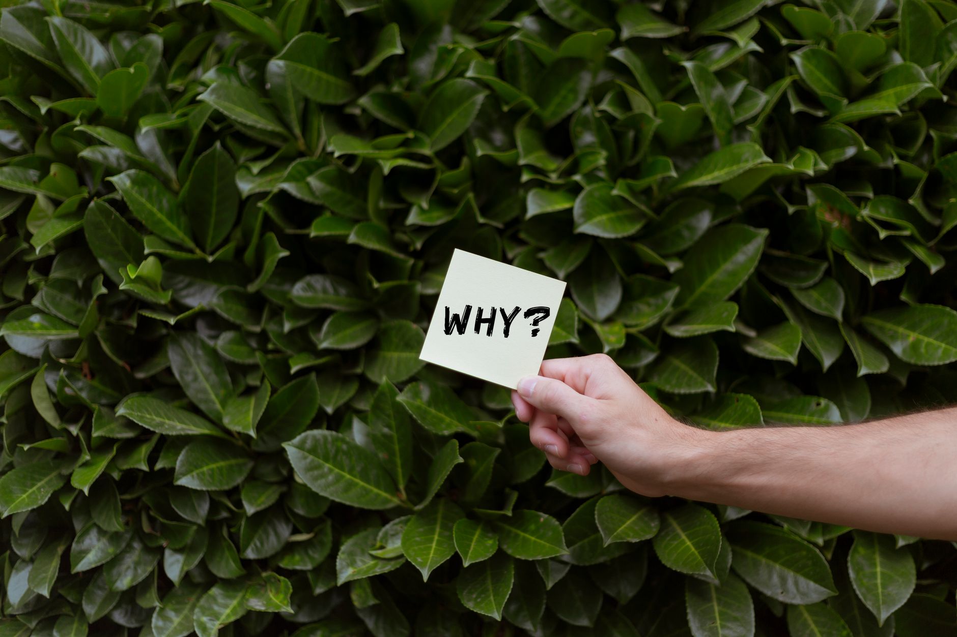 Common Annuity Questions Answered - Featured image
