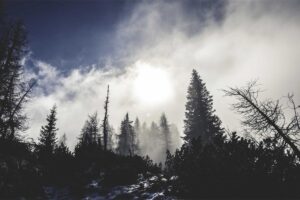 Funeral Cost Crisis Explained in One Statistic That Will Shock You - Featured image