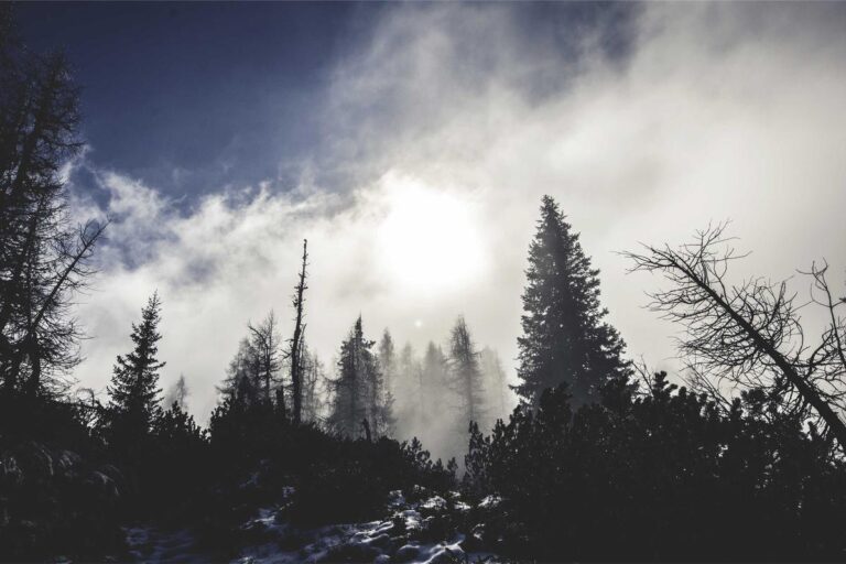 Funeral Cost Crisis Explained in One Statistic That Will Shock You - Featured image