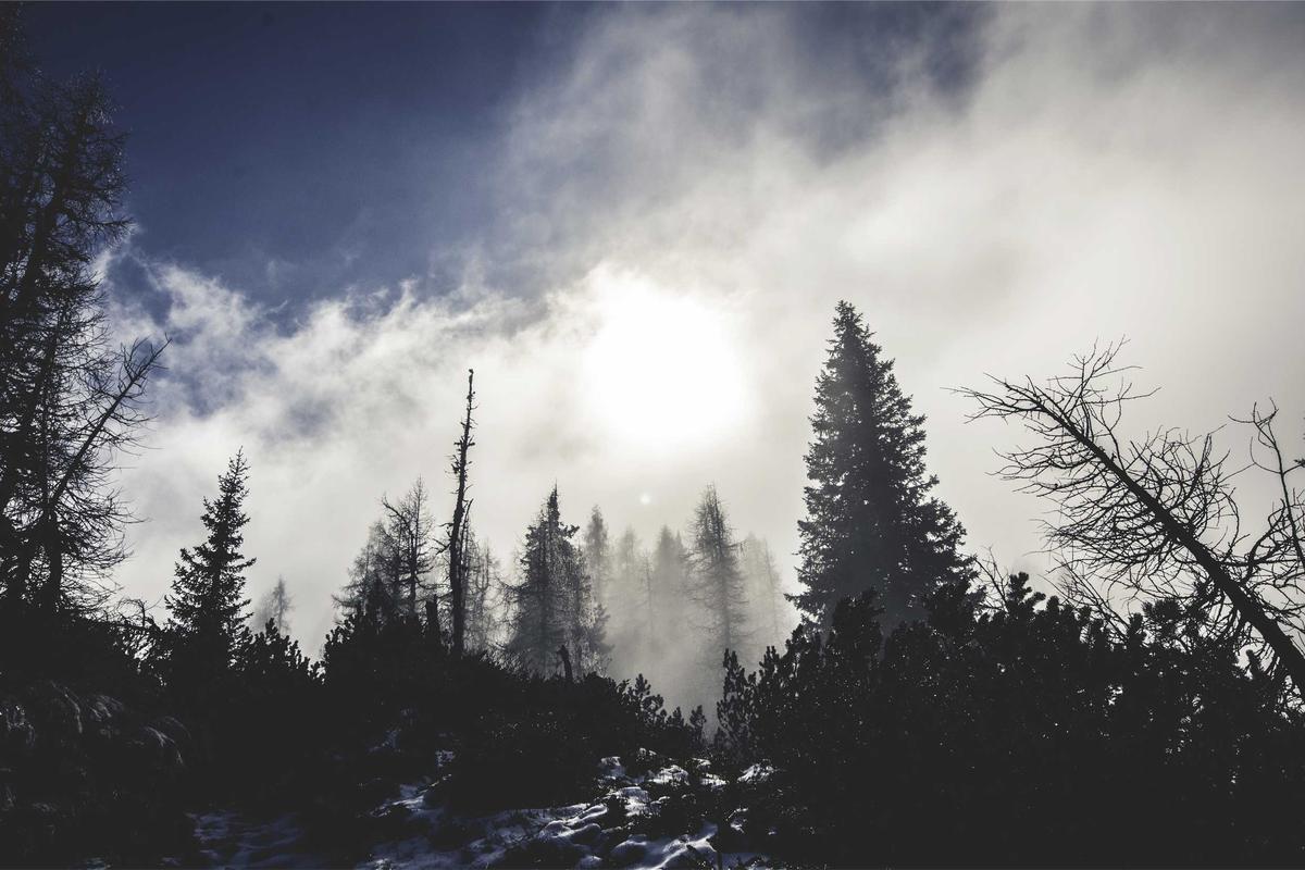 Funeral Cost Crisis Explained in One Statistic That Will Shock You - Featured image