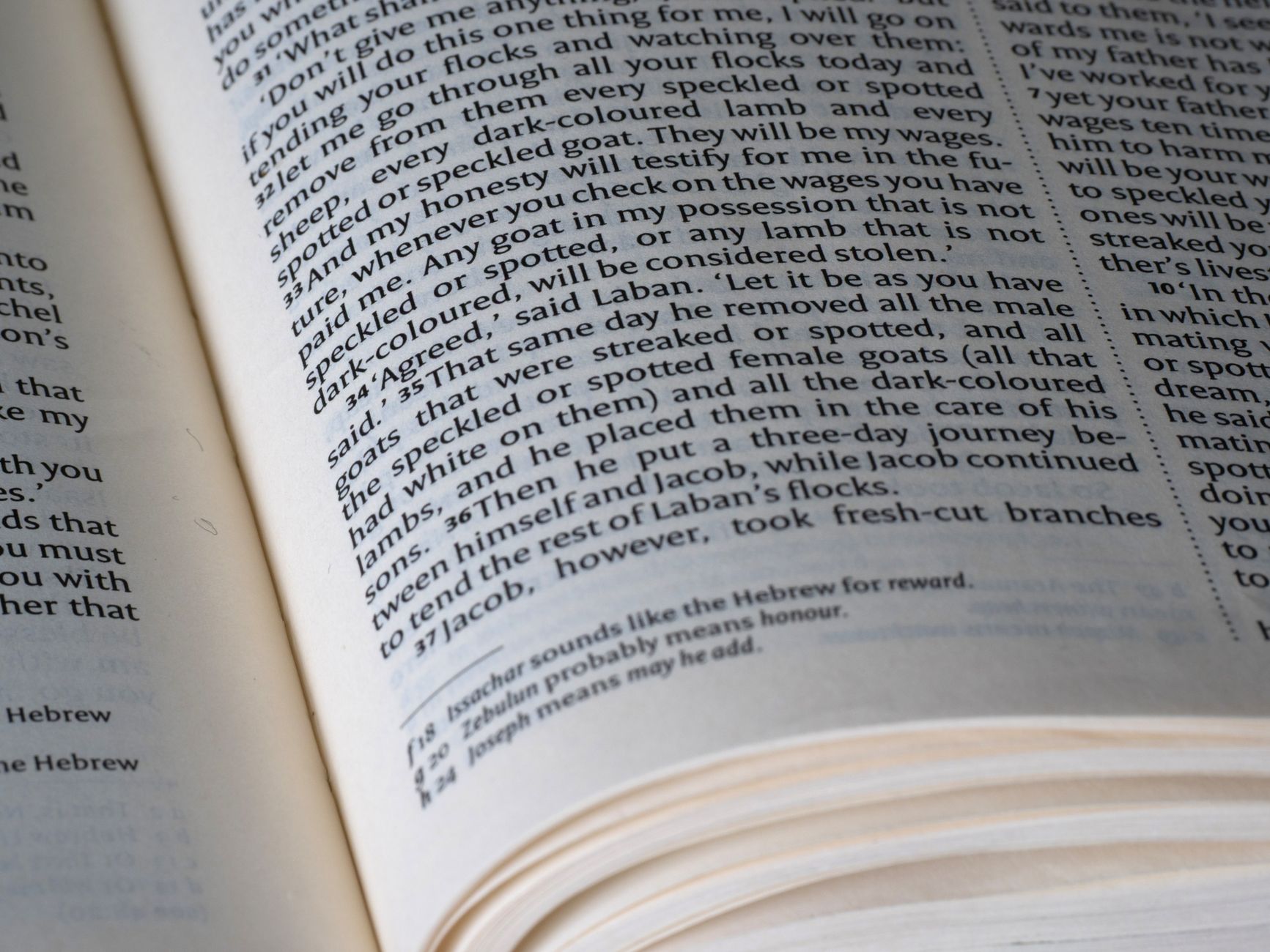 How Does Your Own Work History Block or Reduce Spousal Benefits?