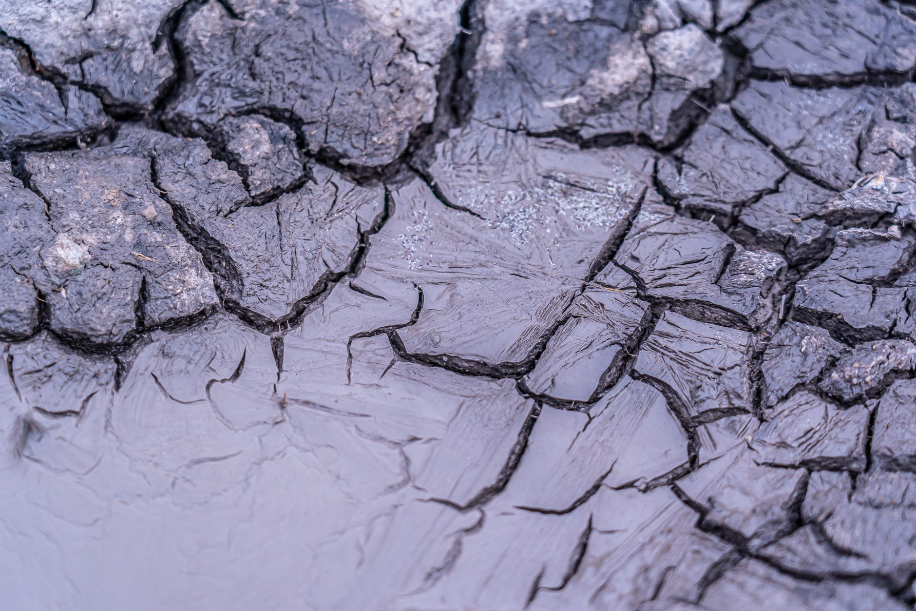 How Much Will Climate Change Actually Cost Your Retirement?