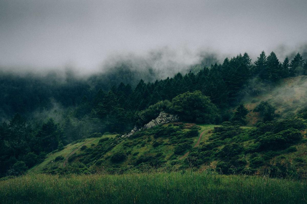 How the TSP's Processing Catastrophe Created 54,000 Stranded Retirees