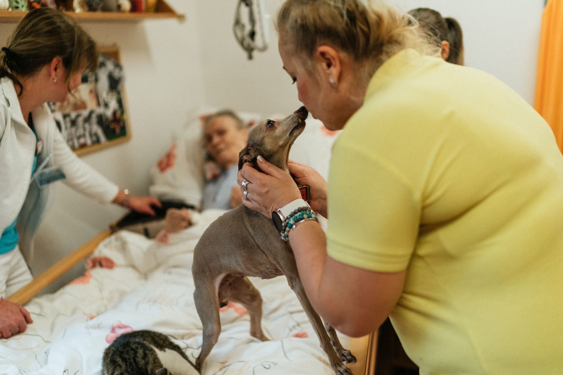 Pet Insurance and Financial Safeguards: What Actually Works (And What Doesn't)
