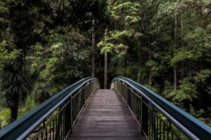 Retirement Brokerage Minimums and Fees: What Most Americans Don't Know Could Cost Them Thousands - Featured image