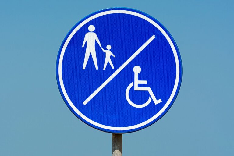 The Grid Rules in Disability - Featured image