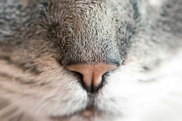 Warning: Pension Scams Targeting Retirees Have Increased 61% Since 2022 - Featured image