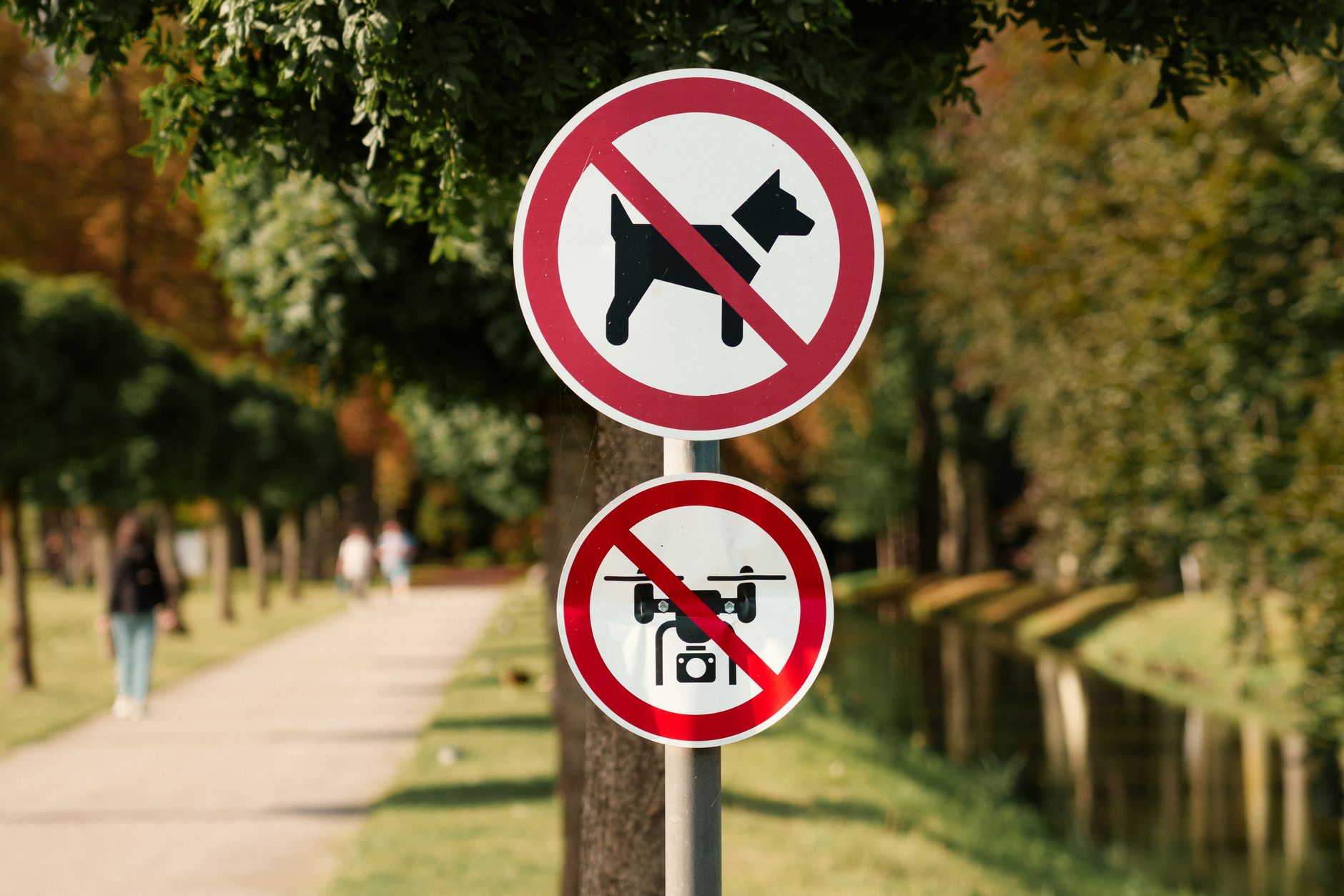 Warning: Pet Insurance Premiums for Older Animals Can Exceed $200 Monthly With High Deductibles - Featured image