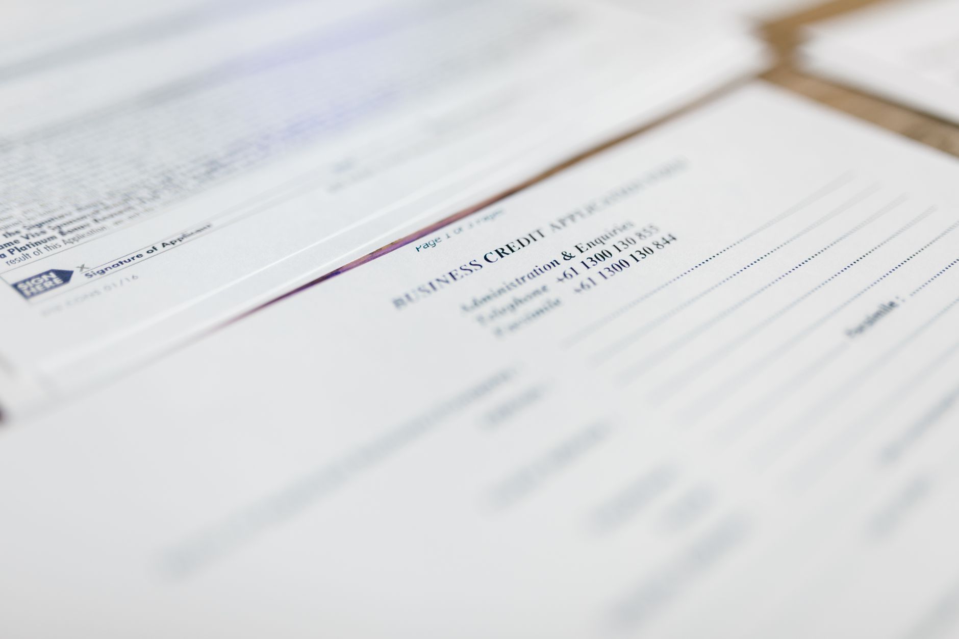 What Credentials and Qualifications Should You Look For?