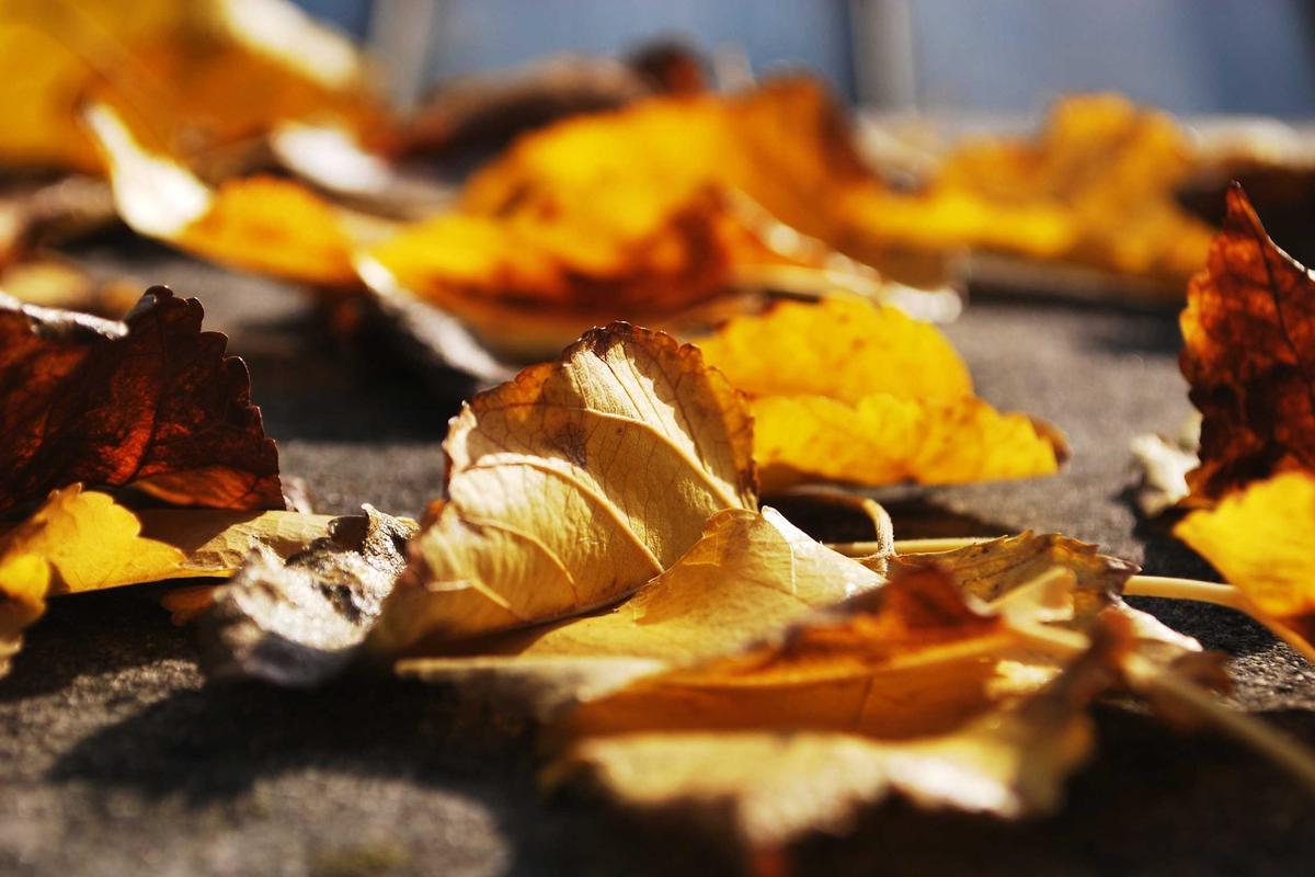 Why Spending Drops Sharply in Your 90s—But Care Costs Explode