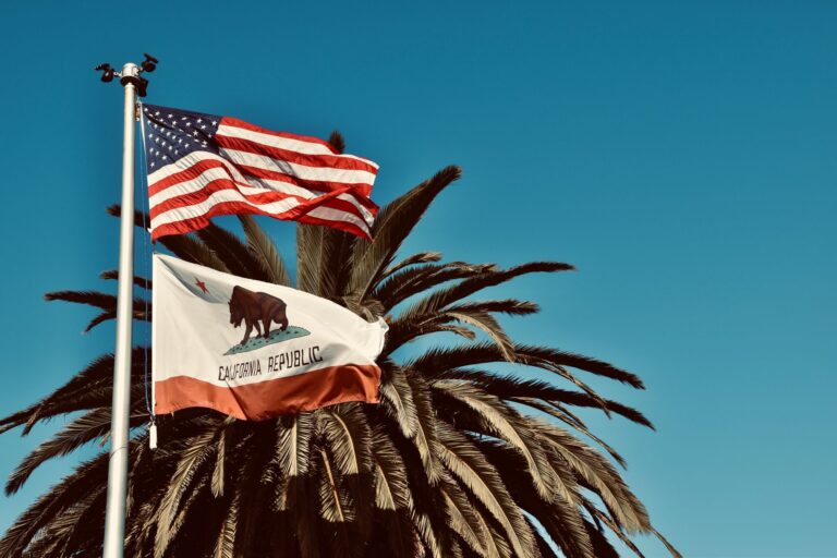 California Sdi Explained - Featured image